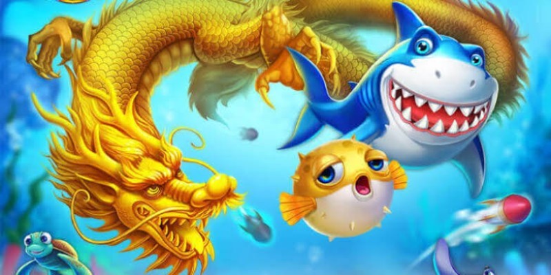 Bắn Cá Rồng Vàng Bet88 – Săn Rồng Vàng, Khám Phá Đại Dương 3 Chia nhỏ ngân sách để chơi cá cược có trách nhiệm