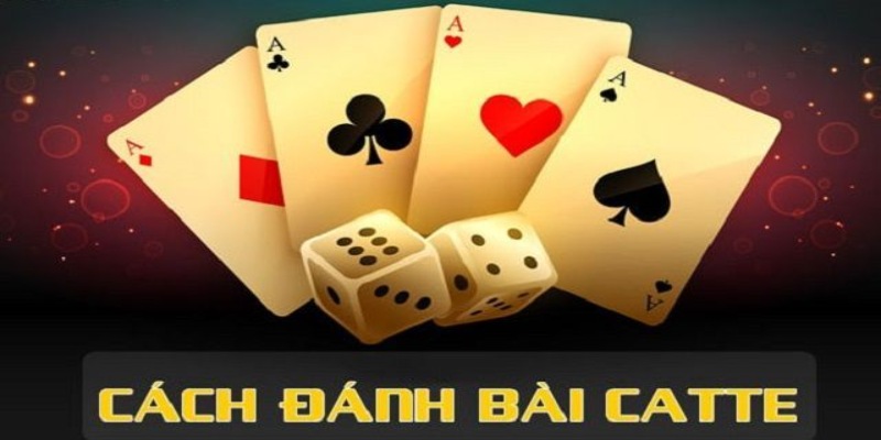 Cách Chơi Game Bài Catte Chi Tiết Cho Người Mới Bắt Đầu 1 Cách chơi game bài Catte đòi hỏi người chơi phải vận dụng trí tuệ